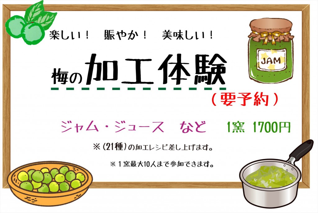 HP用梅加工体験_R